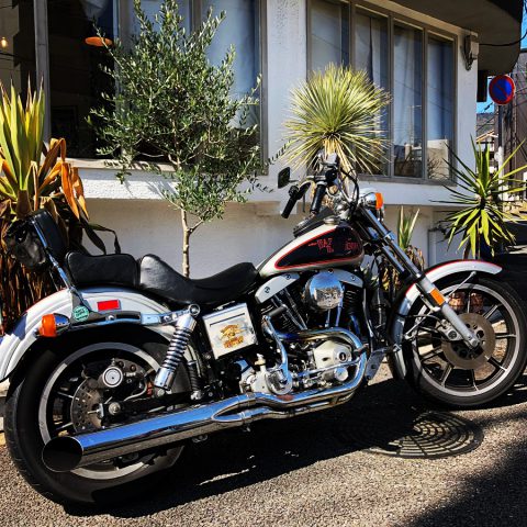 大きなおもちゃ。その後。