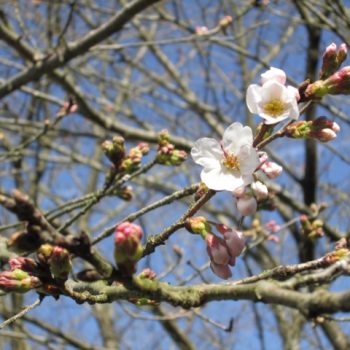 定期点検について