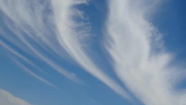 “STREAM” Shinohara