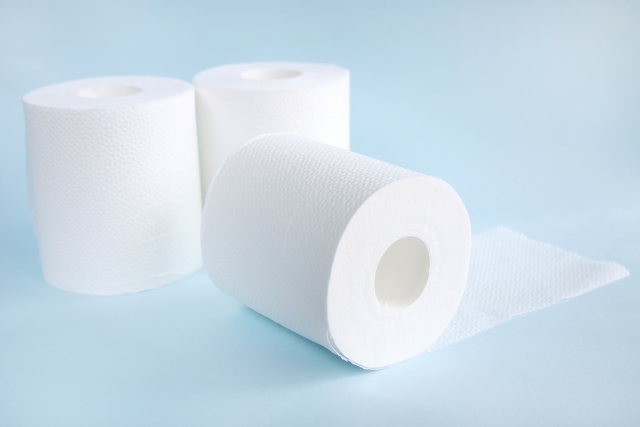 トイレが詰まった話