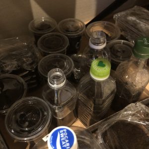 夏の終わりとカブトムシ（母の独り言）