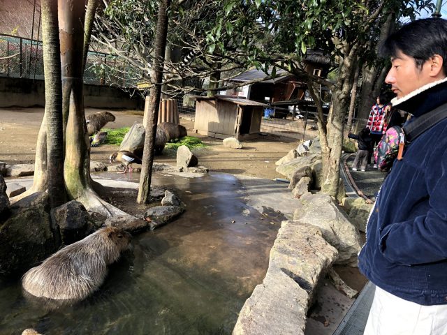 ちょっと目立ってみた。