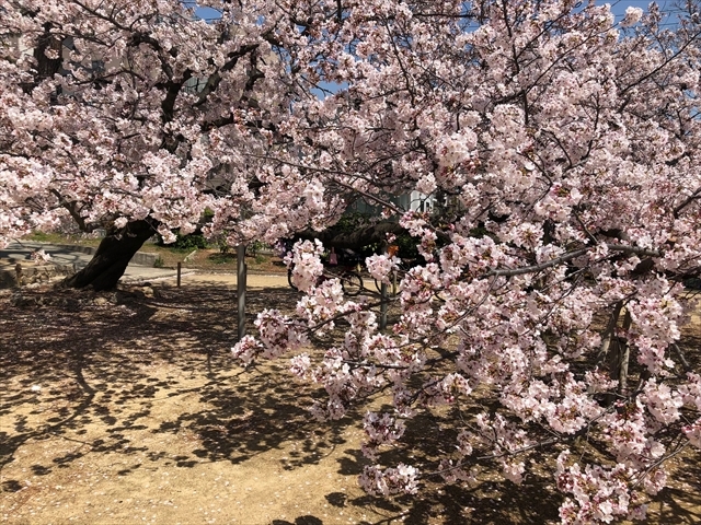 ツーリング日和？