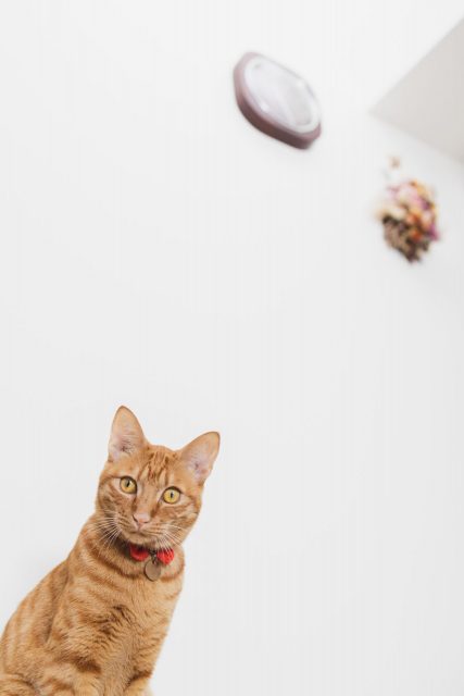 CUSTOMER’S LIFE　更新しました。