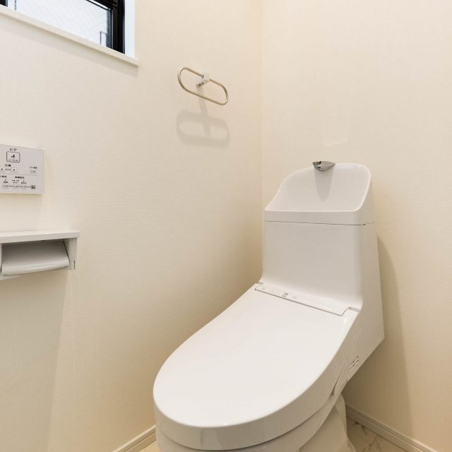 トイレが詰まるかもしれない話