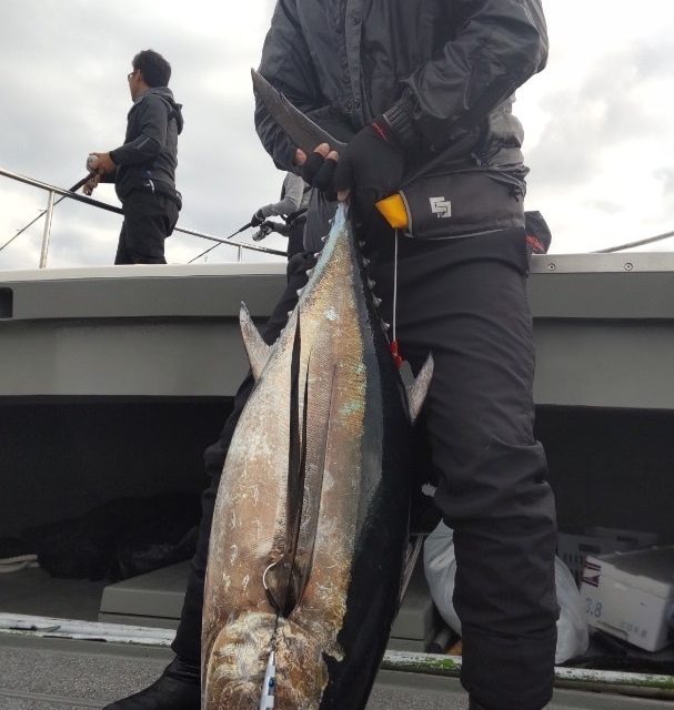 ブログ更新しました。