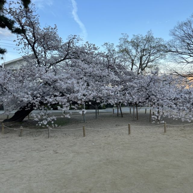 住宅再生事業（Reclaim）