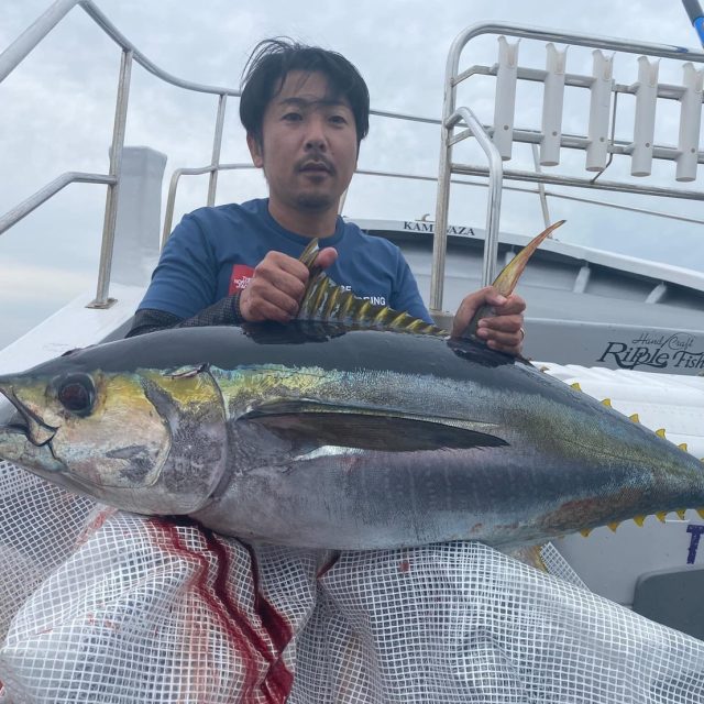 ブログ更新しました。