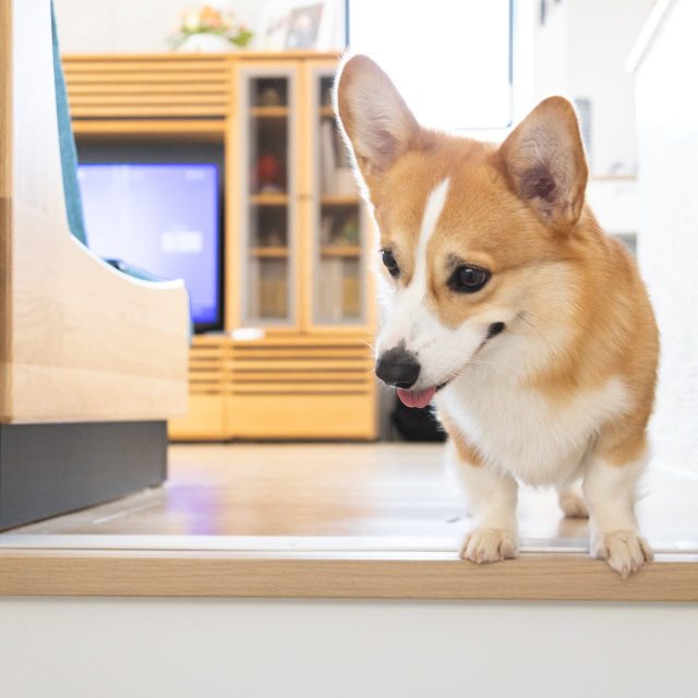 CUSTOMER’S LIFE　追加しました。