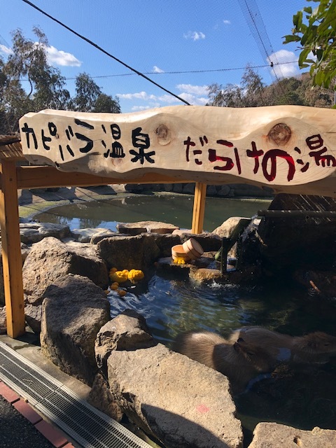 ブログ更新しました。