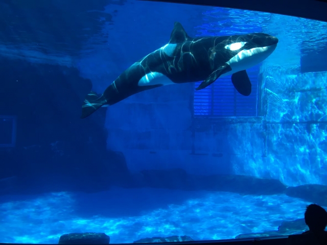 SEASIDE PARK　Kinugake