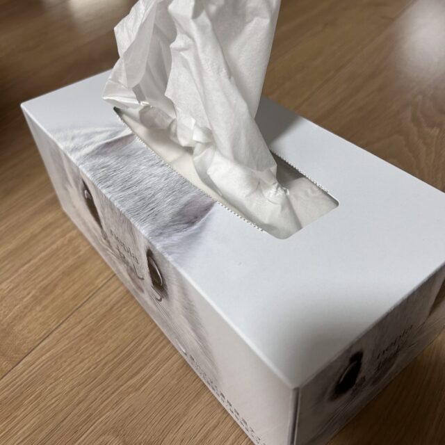 ブログ更新しました。