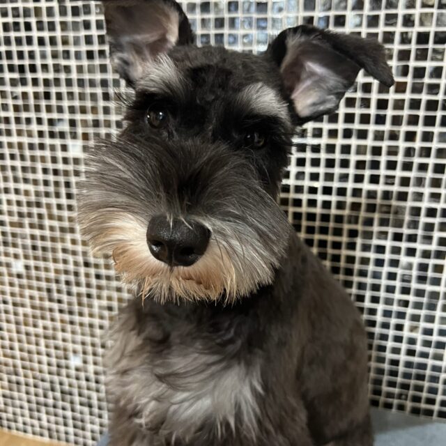 ブログ更新しました。