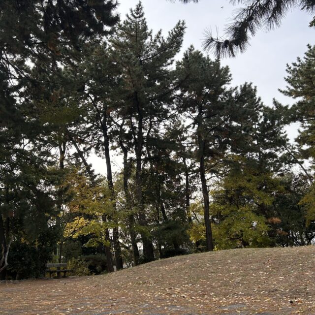 ブログ更新しました。