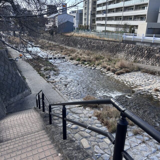 続　with DOG our new family