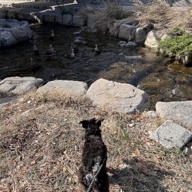 ブログ更新しました。